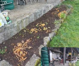 Gartenbeet