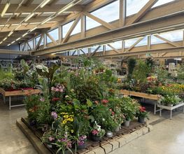 OBI Gartencenter Porte de Nyon Bild 1