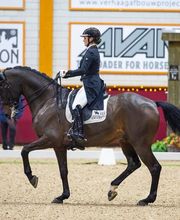 Joana Peterka Dressage Bild 4
