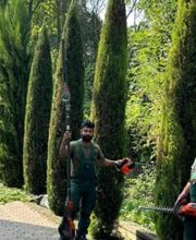 Royal Garden Bild 10