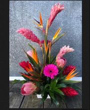 Broad Brook Gardens image 4