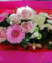 Rosavel la rose des vents image 11