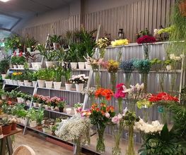 Floristeria_Nature4.jpg