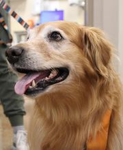 Valley Animal Hospital image 6