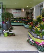 Central fleurs image 7