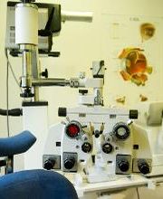 Opticien Sully-sur-Loire - Optic 2000 image 5