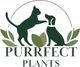 Purrfect Plants Patrick Völler