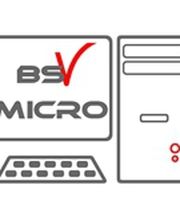 BSV Micro image 1