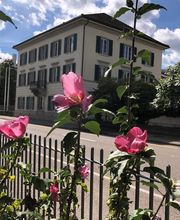 ParkSideClinic l Dr. Frank Pleus Bild 2