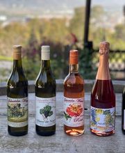 Weinbau Leuengrund - Schneider Weine Bild 13