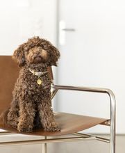 NOVAS - Soziale Dienstleistungen GmbH Bild 3