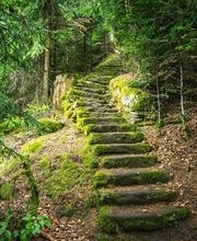 Camping Erbenwald Bild 17