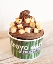 Froyo Earth image 7
