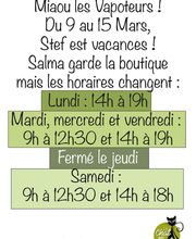 Le Chat Qui Vapote - Bain de Bretagne image 9