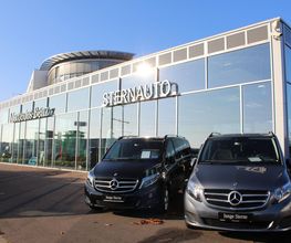 STERNAUTO Bild 2