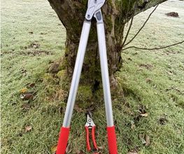 Gartenservice Mark Miess Bild 56