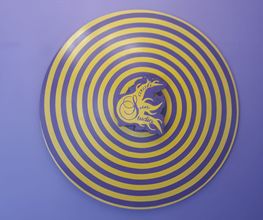 Sarah Sun Studio Bild 4
