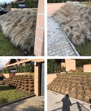 Parvex Paysagiste Sàrl Bild 2