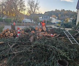 Badischer-Servicedienst Bild 3