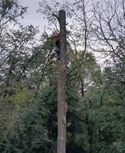 KJ Forestier image 10