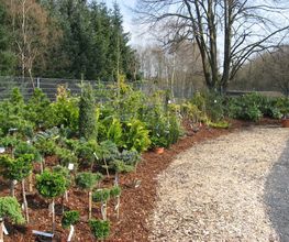 Gartengestaltung
