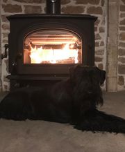 Jotul Varennes le Grand image 18