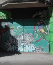 pajareriamolinaenmurcia.JPG