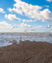 Das Wangerland Bild 2
