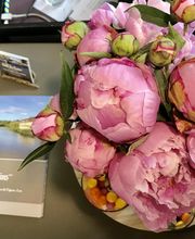 Hôtel Des Bains image 20