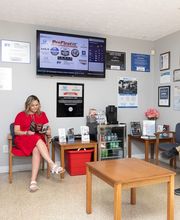 Dalton Collision Inc - Blaine image 3