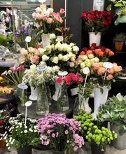 Le Sourire d'une Fleur image 3