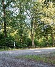 FriedWald Cuxland Bild 8