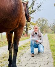 Bewegungstherapie Melanie Lang Bild 1