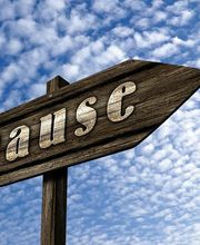 Vancaeyzeele Vincent Sophro Partage image 7