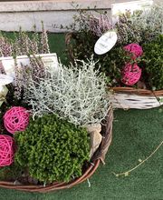 Vautcranne Sté image 4