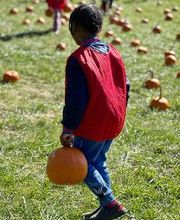 Field trip to The Children's Farm at the Center in Palos Park