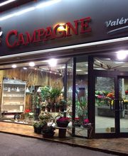 Fleurs Campagne Valérie Bauer image 7