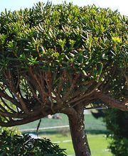 Matter Garten AG Bild 9