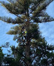 INDIGO JARDINES imagen 6