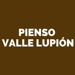 PIENSO-VALLE-LUPION-LOGO.png