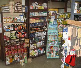 Araignée Rouge Bild 6