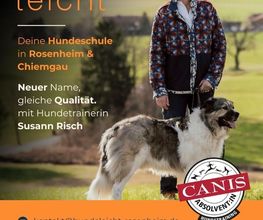Hundeschule Hundeleicht Bild 4