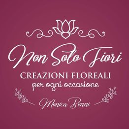 Non Solo Fiori logo