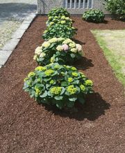 Gartencenter A-Z Velbert GmbH Bild 13