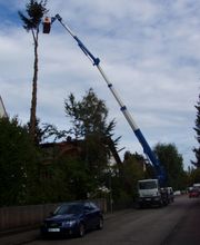 Trinkgeld GmbH Garten- & Landschaftsservice Bild 14