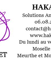 Hakainet image 1