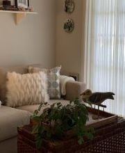 CertaPro Painters of La Jolla and Central San Diego, CA image 14