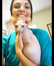 West Park Veterinary Services image 7