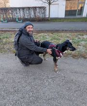 Hundeschule München-Nord