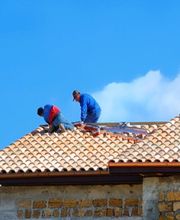 AB Plus Habitat image 1